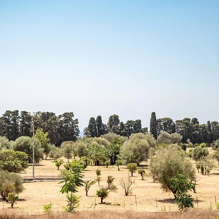 Seaside Escape - Cozy In 아파트 *